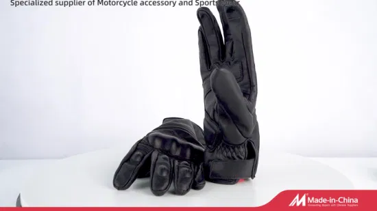 Fabrik Heißer Verkauf Volle Finger Handschuhe Leder Motorrad Touchscreen Motorrad Leder Hand Handschuh Motorrad Schutz Afs6